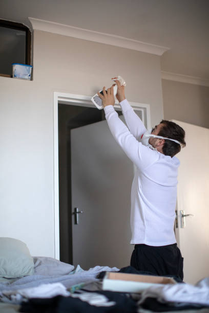 Best Commercial Mold Inspection  in Pierce City, MO