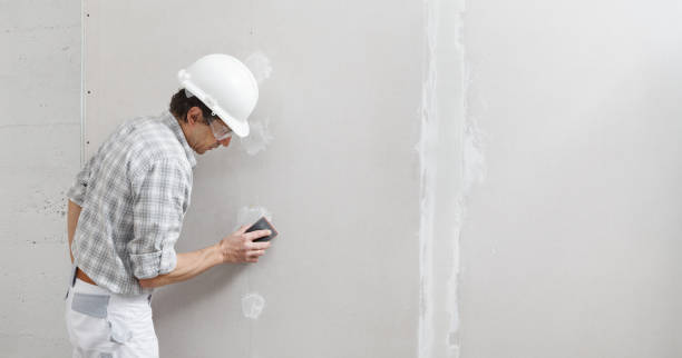 Best Mold Removal for HVAC Installations  in Pierce City, MO