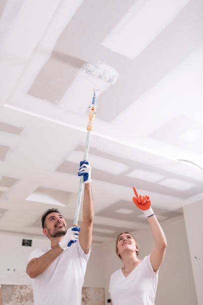 Best Mold Damage Restoration  in Pierce City, MO